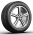 Шина Michelin Pilot Alpin 4 255/45 R19 100V N1