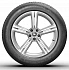 Шина Michelin Pilot Alpin 4 255/45 R19 100V N1