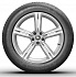 Шина Michelin Pilot Alpin 4 255/45 R19 100V N1