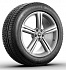 Шина Michelin Pilot Alpin 4 255/45 R19 100V N1