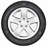 Шина Gislaved Soft Frost 200 195/55 R16 91T XL